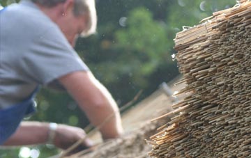 professional Ansley thatchers